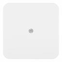 Коробка распределительная Systeme Electric Blanca накладная белая (BLNRK000011) Коробка распределительная Systeme Electric Blanca накладная белая (BLNRK000011)