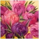 Салфетки Bulgaree green peony 3 слоя 33х33 см 20 шт Салфетки Bulgaree green peony 3 слоя 33х33 см 20 шт