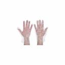 Полиэтиленовые перчатки VETTA 447-031 Полиэтиленовые перчатки VETTA 447-031