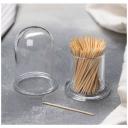 Подставка под зубочистки Доляна, d=5 см, круглая, пластик, прозрачная Подставка под зубочистки Доляна, d=5 см, круглая, пластик, прозрачная