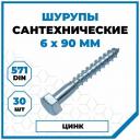 Шурупы Стройметиз сантехнические 6х90, сталь, покрытие - цинк, 30 шт. Шурупы Стройметиз сантехнические 6х90, сталь, покрытие - цинк, 30 шт.