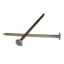 Гвозди шиферные Starfix SMP4-49645-1, 4.0х120 мм (1 кг в пласт. конт.) Гвозди шиферные Starfix SMP4-49645-1, 4.0х120 мм (1 кг в пласт. конт.)
