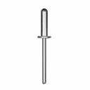 Заклепки Kraftool Alu Al5052 311701-64-30 алюминиевые 150 шт; 6.4х30 мм Заклепки Kraftool Alu Al5052 311701-64-30 алюминиевые 150 шт; 6.4х30 мм