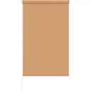 Штора рулонная Stars Light 50x160 см персиковая Штора рулонная Stars Light 50x160 см персиковая
