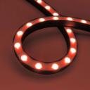 Грейзер DMX THOR-3D-F24-25x27mm 24V RGBW-Day4000 (24 W/m, IP65, 1m, wire x2) (Arlight, Силикон) 045265 Грейзер DMX THOR-3D-F24-25x27mm 24V RGBW-Day4000 (24 W/m, IP65, 1m, wire x2) (Arlight, Силикон) 045265