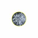 Гирлянда Navigator NGF-S01-100CW-10-11.5m-230-C8-TR-IP20 14025 Гирлянда Navigator NGF-S01-100CW-10-11.5m-230-C8-TR-IP20 14025