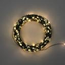 Гирлянда светодиодная Роса с контроллером 30м, 300LED, ТЕПЛЫЙ БЕЛЫЙ, IP20, 230В, зеленый провод NEON-NIGHT, цена за 1 шт Гирлянда светодиодная Роса с контроллером 30м, 300LED, ТЕПЛЫЙ БЕЛЫЙ, IP20, 230В, зеленый провод NEON-NIGHT, цена за 1 шт