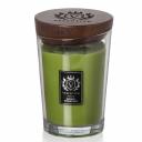 Свеча ароматическая Vellutier Ancient Oakwoods 515гр Свеча ароматическая Vellutier Ancient Oakwoods 515гр