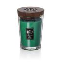 Свеча ароматическая VELLUTIER Свеча Сибирский сосновый лес Siberian Pine Forest 515 Свеча ароматическая VELLUTIER Свеча Сибирский сосновый лес Siberian Pine Forest 515