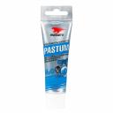Паста для резьбовых соединений ВМПАВТО Pastum H2O 25 г Паста для резьбовых соединений ВМПАВТО Pastum H2O 25 г