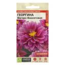 Семена цветов Георгина "Фигаро", фиолетовая, махровая, Сем. Алт, ц/п, 5 шт Семена цветов Георгина "Фигаро", фиолетовая, махровая, Сем. Алт, ц/п, 5 шт