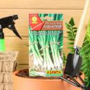 Семена Лук на зелень "Лучок на пучок", 0,5 г Семена Лук на зелень "Лучок на пучок", 0,5 г