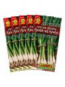 Набор семян Лук на зелень "Лучок на пучок", 5 шт. Набор семян Лук на зелень "Лучок на пучок", 5 шт.