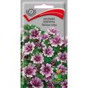 Мальва зебрина Лиловая зебра Мальва зебрина Лиловая зебра