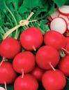 Редис Краса Алтая (УД) 2 гр цв.п. // Семена овощей Редис Краса Алтая (УД) 2 гр цв.п. // Семена овощей