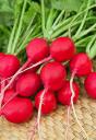 Редис Ранний красный 3 гр цв.п (Био-старт) // Семена овощей Редис Ранний красный 3 гр цв.п (Био-старт) // Семена овощей