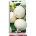 Редька Зимняя круглая белая Редька Зимняя круглая белая