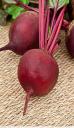 Свекла Мулатка 2 гр цв.п // Семена овощей Свекла Мулатка 2 гр цв.п // Семена овощей