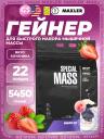 Гейнер MAXLER (USA) Special Mass Gainer 5450 г, Клубника Гейнер MAXLER (USA) Special Mass Gainer 5450 г, Клубника