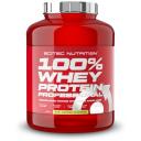 Протеин Scitec Nutrition 100% Whey Protein Professional, 2350 гр., киви-банан Протеин Scitec Nutrition 100% Whey Protein Professional, 2350 гр., киви-банан