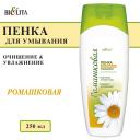 Пенка для снятия макияжа БЕЛИТА Пенка для умывания Ромашковая 250 Пенка для снятия макияжа БЕЛИТА Пенка для умывания Ромашковая 250
