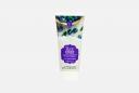 Пенка для умывания G70 FRUIT BLUEBERRY FOAM CLEANSING 100 мл DR.CELLIO Пенка для умывания G70 FRUIT BLUEBERRY FOAM CLEANSING 100 мл DR.CELLIO