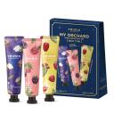 Подарочный набор кремов для рук "Фруктовый сад" Масло ши+Малина+Кактус, FRUDIA Подарочный набор кремов для рук "Фруктовый сад" Масло ши+Малина+Кактус, FRUDIA