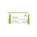 SesDerma Factor G Renew Биостимулирующие ампулы 1.5 мл 1.5 г 7 шт. 7 шт. стеклянная банка SesDerma Factor G Renew Биостимулирующие ампулы 1.5 мл 1.5 г 7 шт. 7 шт. стеклянная банка