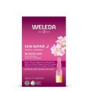 Концентрат для лица WELEDA Разглаживающий концентрат Wild Rose Intensive Treatment Концентрат для лица WELEDA Разглаживающий концентрат Wild Rose Intensive Treatment