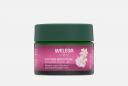 Ночной крем для лица Wild Rose & White Tea 40 мл WELEDA Ночной крем для лица Wild Rose & White Tea 40 мл WELEDA
