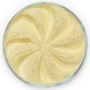 ERA MINERALS Минеральные тени для век Frost F ERA MINERALS Минеральные тени для век Frost F