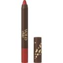 STELLARY Карандаш-помада для губ Long Lasting Lip Pencil Wild Chic Collection STELLARY Карандаш-помада для губ Long Lasting Lip Pencil Wild Chic Collection