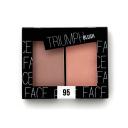 TF Румяна двухцветные TRIUMPH BLUSH, CTBL09 TF Румяна двухцветные TRIUMPH BLUSH, CTBL09
