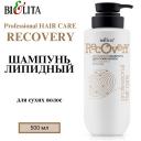 Шампунь для волос БЕЛИТА Липидный шампунь для сухих волос Professional HAIR CARE 500 Шампунь для волос БЕЛИТА Липидный шампунь для сухих волос Professional HAIR CARE 500