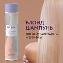 DR. SEA Шампунь для волос ежедневный Блонд для нейтрализации желтизны 300 DR. SEA Шампунь для волос ежедневный Блонд для нейтрализации желтизны 300