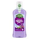 ополаскиватель для полости рта ЛЕСНОЙ БАЛЬЗАМ Защита от кариеса Ягодный вкус 400мл детский ополаскиватель для полости рта ЛЕСНОЙ БАЛЬЗАМ Защита от кариеса Ягодный вкус 400мл детский