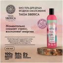 Гель для душа Natura Siberica Doctor Taiga Wild Ice Cranberryягоды, 400 мл Гель для душа Natura Siberica Doctor Taiga Wild Ice Cranberryягоды, 400 мл