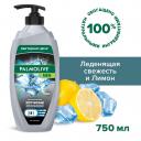 Гель для душа мужской Palmolive MEN Арктический ветер 3 в 1 для тела, волос и лица, 750 мл Гель для душа мужской Palmolive MEN Арктический ветер 3 в 1 для тела, волос и лица, 750 мл