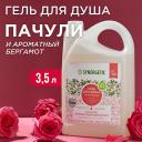 SYNERGETIC Гель для душа "Пачули и ароматный бергамот" 3500 SYNERGETIC Гель для душа "Пачули и ароматный бергамот" 3500