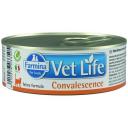 Корм для кошек Farmina Vet Life Convalescence в период восстановления после болезни, беззерновой 85 г (паштет) Корм для кошек Farmina Vet Life Convalescence в период восстановления после болезни, беззерновой 85 г (паштет)
