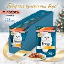 Gourmet Влажный корм (пауч) для взрослых кошек Перл Нежное филе, с лососем в соусе, 75 гр. Gourmet Влажный корм (пауч) для взрослых кошек Перл Нежное филе, с лососем в соусе, 75 гр.