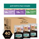 ProPlan MAINTENANCE Влажный корм (мультипак) для взрослых кошек, с индейкой в желе, с уткой в соусе, с ягненком в желе, 85 гр. х 40 шт. ProPlan MAINTENANCE Влажный корм (мультипак) для взрослых кошек, с индейкой в желе, с уткой в соусе, с ягненком в желе, 85 гр. х 40 шт.