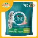 Сухой корм для домашних кошек Purina One индейка Сухой корм для домашних кошек Purina One индейка