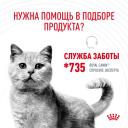 Сухой корм для кошек Royal Canin Hair&Skin Care (Хэйр Энд Скин Кэа) от 1 до 12 лет, 0,4 кг Сухой корм для кошек Royal Canin Hair&Skin Care (Хэйр Энд Скин Кэа) от 1 до 12 лет, 0,4 кг