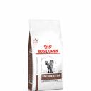 Royal Canin Gastrointestinal Moderate Calorie Сухой диетический корм для нормализации работы пищеварительной системы у кошек, 350 гр. Royal Canin Gastrointestinal Moderate Calorie Сухой диетический корм для нормализации работы пищеварительной системы у кошек, 350 гр.