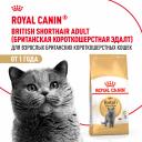Сухие корма Royal Canin Сухие корма Royal Canin