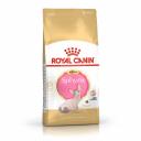 Royal Canin Sphynx Kitten полнорационный сухой корм для котят породы сфинкс до 12 месяцев повседневный супер премиум сфинкс для котят с птицей для всех пород мешок Российский корм 1 уп. х 1 шт. х 2 кг Royal Canin Sphynx Kitten полнорационный сухой корм для котят породы сфинкс до 12 месяцев повседневный супер премиум сфинкс для котят с птицей для всех пород мешок Российский корм 1 уп. х 1 шт. х 2 кг