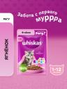 Консервы, паучи Whiskas Консервы, паучи Whiskas