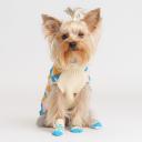 Petmax Свитер с ромбами для кошек и собак, S, бело-синий Petmax Свитер с ромбами для кошек и собак, S, бело-синий