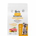 Brit Care Puppy and Junior Сухой корм для щенков средних пород, с индейкой и уткой, 3 кг Brit Care Puppy and Junior Сухой корм для щенков средних пород, с индейкой и уткой, 3 кг